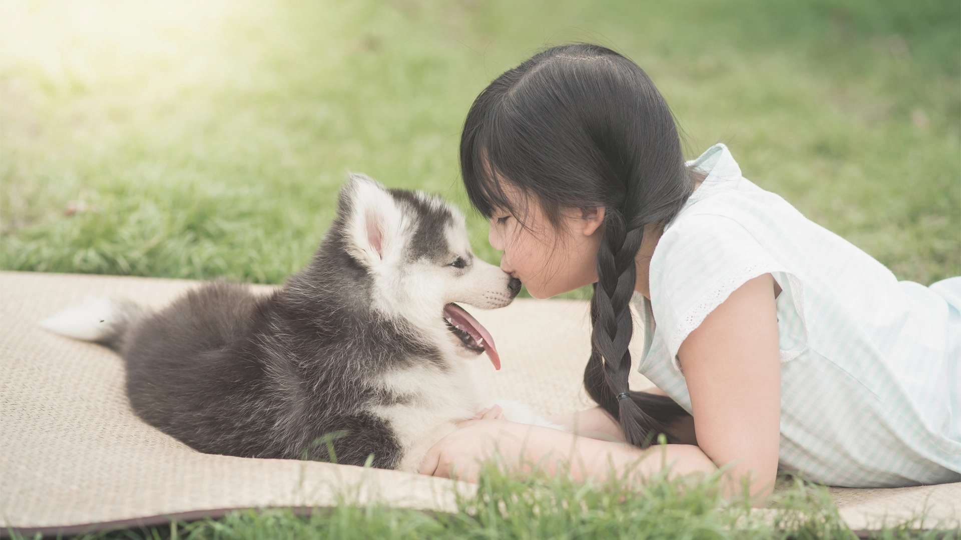 Pets are welcome at Acqua Private Residences